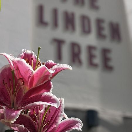 Linden Tree Bed & Breakfast Глостър Екстериор снимка