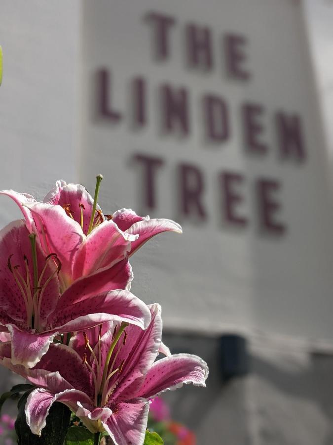 Linden Tree Bed & Breakfast Глостър Екстериор снимка